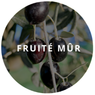 huile-olive-fuitee-mur